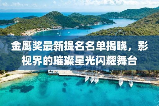 金鹰奖最新提名名单揭晓，影视界的璀璨星光闪耀舞台