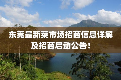 东莞最新菜市场招商信息详解及招商启动公告！
