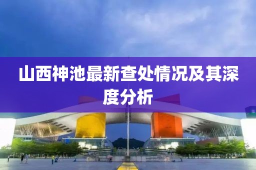 山西神池最新查处情况及其深度分析