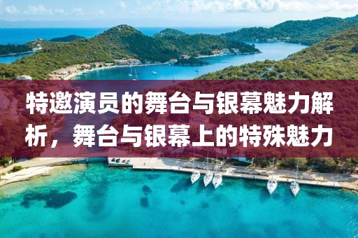 特邀演员的舞台与银幕魅力解析，舞台与银幕上的特殊魅力