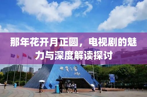 那年花开月正圆，电视剧的魅力与深度解读探讨