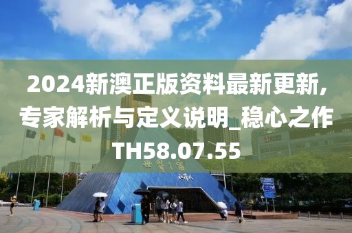 2024新澳正版资料最新更新,专家解析与定义说明_稳心之作TH58.07.55