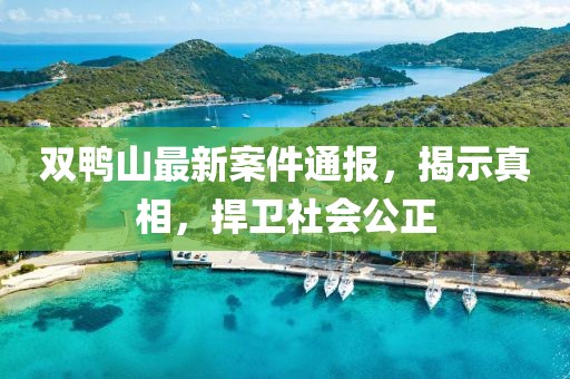 双鸭山最新案件通报，揭示真相，捍卫社会公正