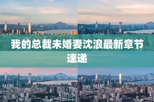 我的总裁未婚妻沈浪最新章节速递