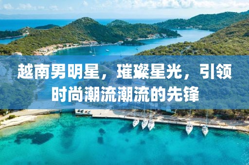 越南男明星，璀璨星光，引领时尚潮流潮流的先锋