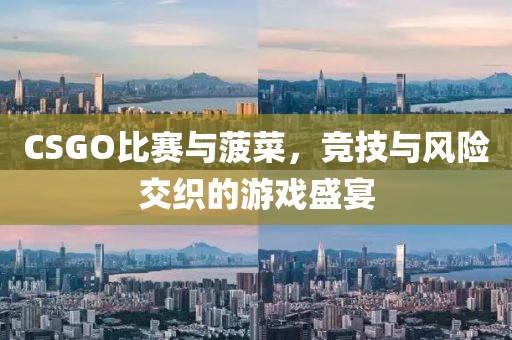 CSGO比赛与菠菜，竞技与风险交织的游戏盛宴