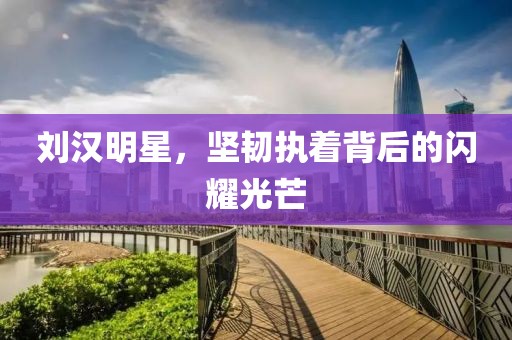 刘汉明星，坚韧执着背后的闪耀光芒