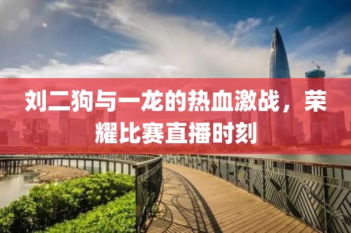 刘二狗与一龙的热血激战，荣耀比赛直播时刻