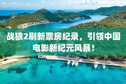 战狼2刷新票房纪录，引领中国电影新纪元风暴！