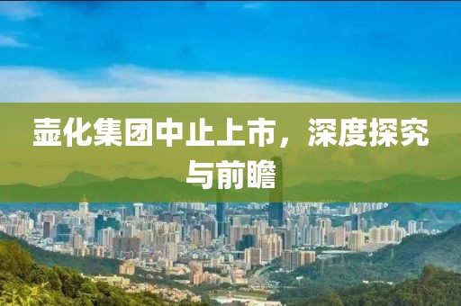 壶化集团中止上市，深度探究与前瞻