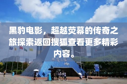 黑豹电影，超越荧幕的传奇之旅探索返回搜狐查看更多精彩内容。