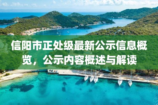 信阳市正处级最新公示信息概览，公示内容概述与解读