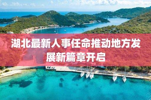 湖北最新人事任命推动地方发展新篇章开启