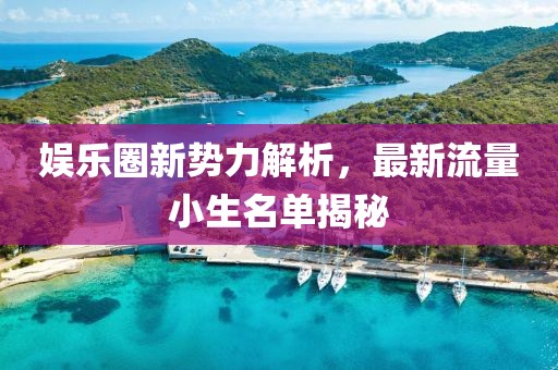 娱乐圈新势力解析，最新流量小生名单揭秘