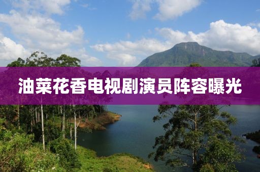油菜花香电视剧演员阵容曝光