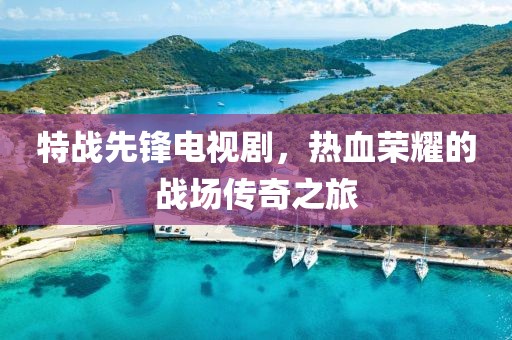 特战先锋电视剧，热血荣耀的战场传奇之旅