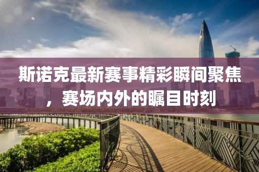 斯诺克最新赛事精彩瞬间聚焦，赛场内外的瞩目时刻
