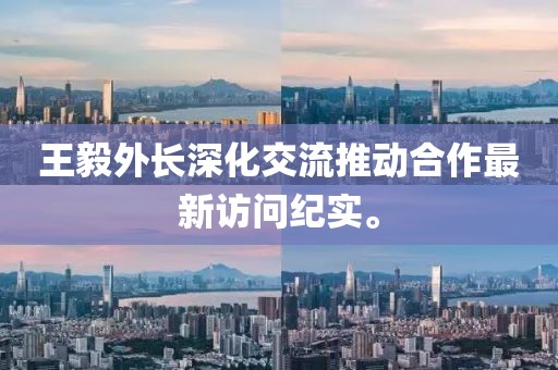 王毅外长深化交流推动合作最新访问纪实。
