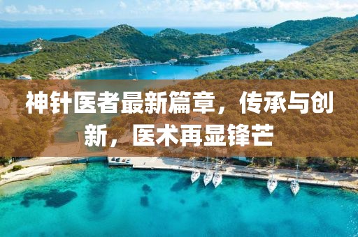神针医者最新篇章，传承与创新，医术再显锋芒