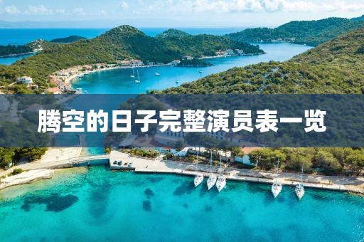 腾空的日子完整演员表一览