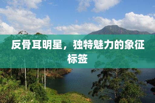 反骨耳明星，独特魅力的象征标签
