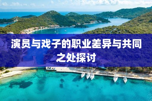 演员与戏子的职业差异与共同之处探讨