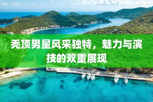 秃顶男星风采独特，魅力与演技的双重展现