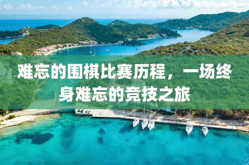 难忘的围棋比赛历程，一场终身难忘的竞技之旅
