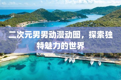 二次元男男动漫动图，探索独特魅力的世界