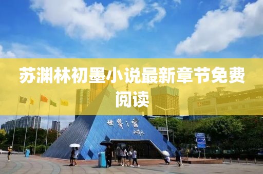 苏渊林初墨小说最新章节免费阅读