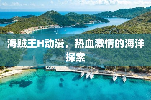 海贼王H动漫，热血激情的海洋探索