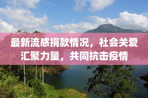 最新流感捐款情况，社会关爱汇聚力量，共同抗击疫情