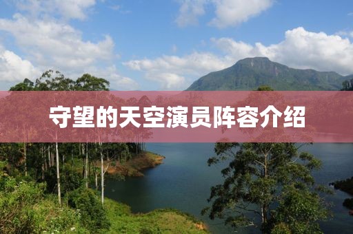 守望的天空演员阵容介绍