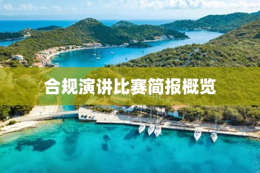 合规演讲比赛简报概览