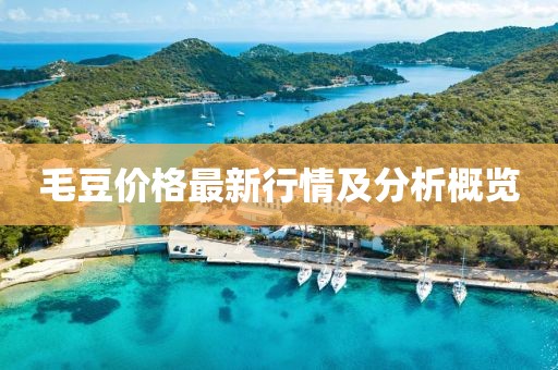 毛豆价格最新行情及分析概览