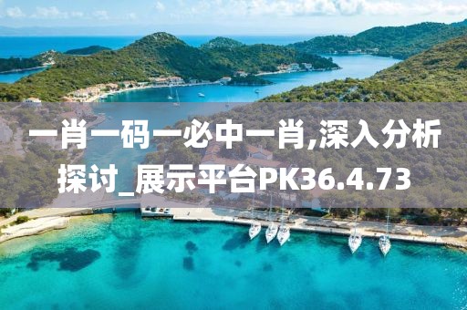 一肖一码一必中一肖,深入分析探讨_展示平台PK36.4.73