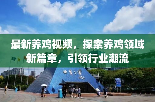 最新养鸡视频，探索养鸡领域新篇章，引领行业潮流