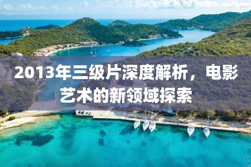 2013年三级片深度解析，电影艺术的新领域探索