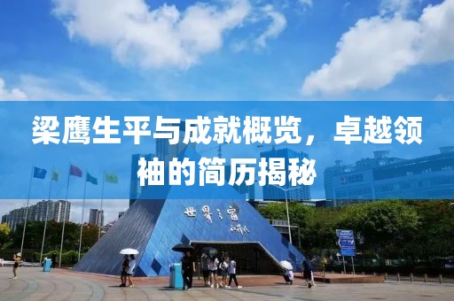 梁鹰生平与成就概览，卓越领袖的简历揭秘
