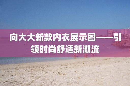 向大大新款内衣展示图——引领时尚舒适新潮流