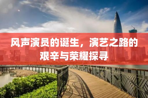 风声演员的诞生，演艺之路的艰辛与荣耀探寻
