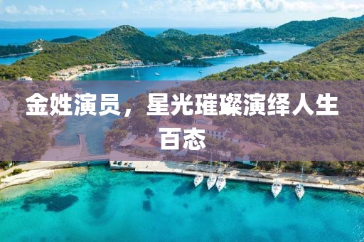 金姓演员，星光璀璨演绎人生百态