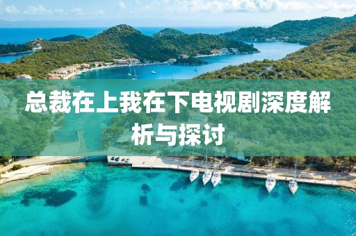 总裁在上我在下电视剧深度解析与探讨
