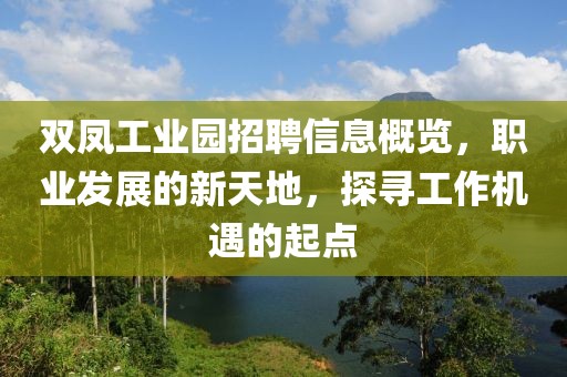 双凤工业园招聘信息概览，职业发展的新天地，探寻工作机遇的起点