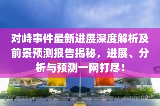 对峙事件最新进展深度解析及前景预测报告揭秘，进展、分析与预测一网打尽！