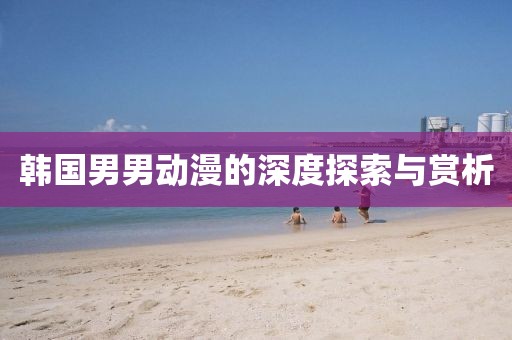 韩国男男动漫的深度探索与赏析