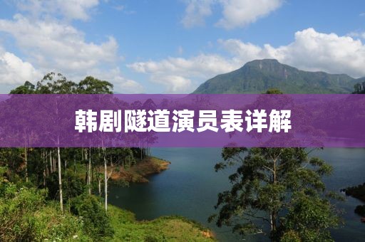 韩剧隧道演员表详解