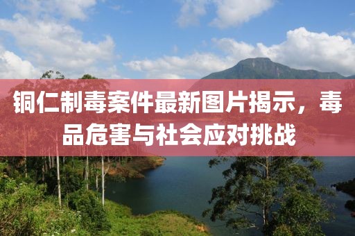 铜仁制毒案件最新图片揭示，毒品危害与社会应对挑战