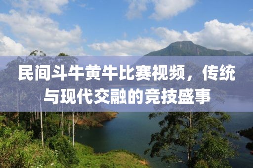 民间斗牛黄牛比赛视频，传统与现代交融的竞技盛事