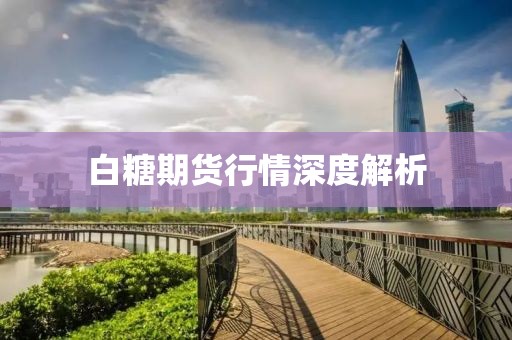 白糖期货行情深度解析